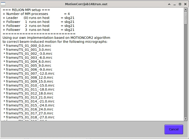 RELION GPU MPI output