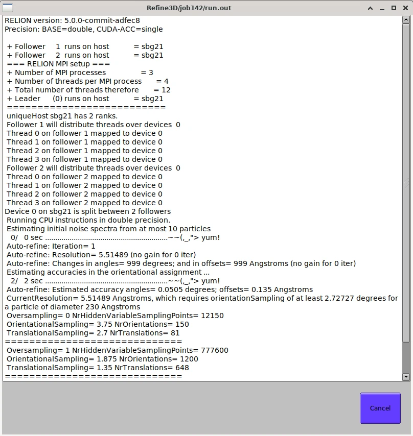 RELION GPU MPI AutoRefine output