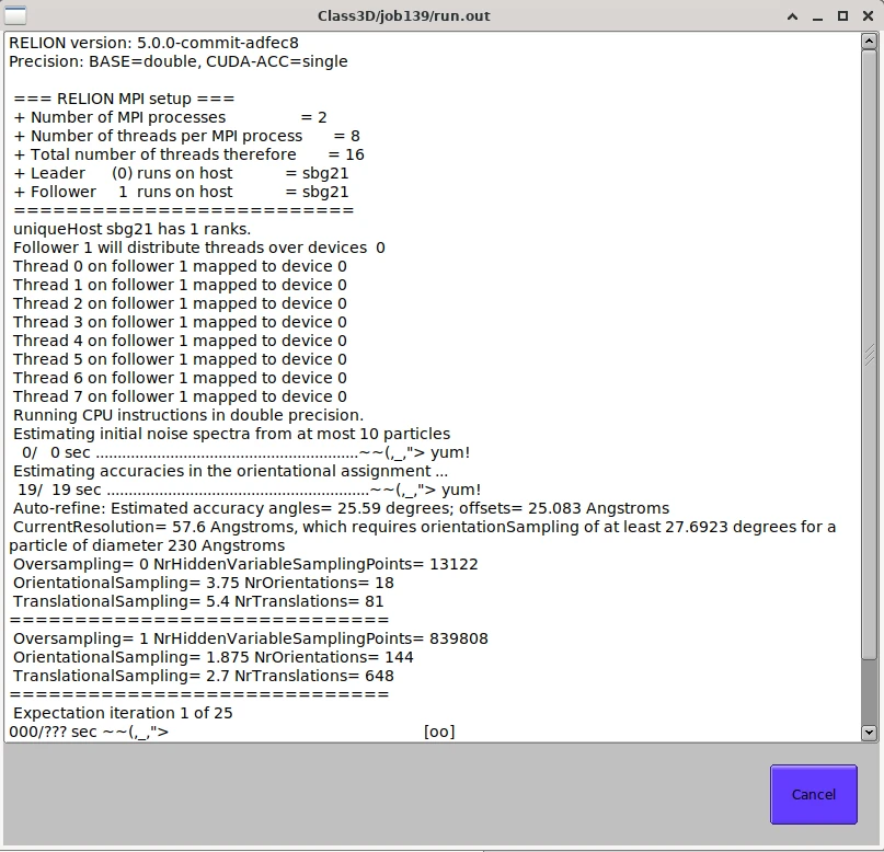 RELION GPU MPI output