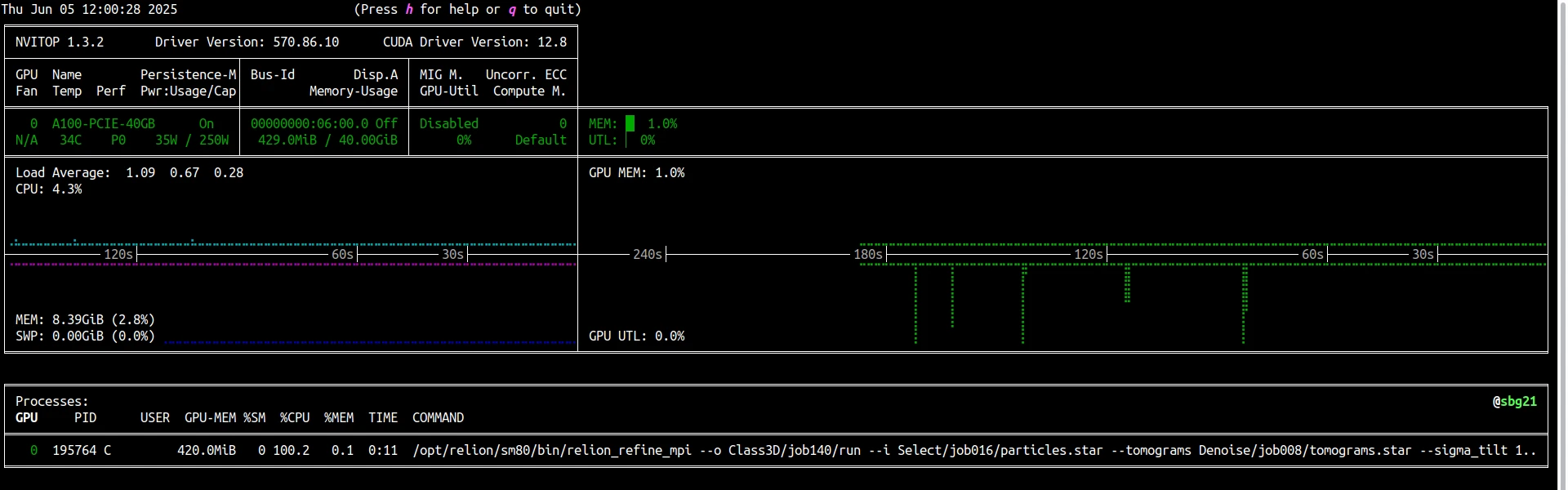 RELION nvitop output